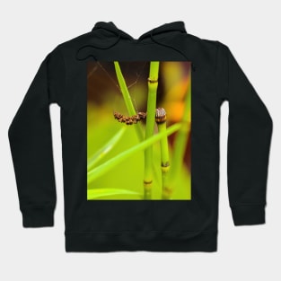 Green water bamboo stalk with seeds Hoodie